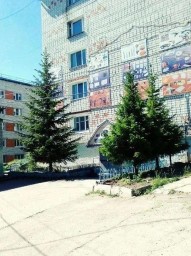 Капремонт тепловодоснабжения: судьба елей на Амурской 33