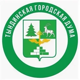 ​Депутаты Тындинской городской Думы проанализировали работу за прошлый год