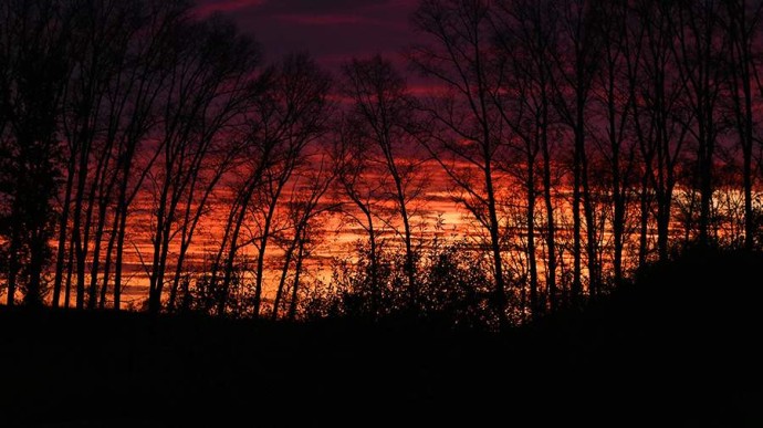 Народные приметы на 29 октября: что можно и нельзя делать Народные приметы на 29 октября: что можно и нельзя делать