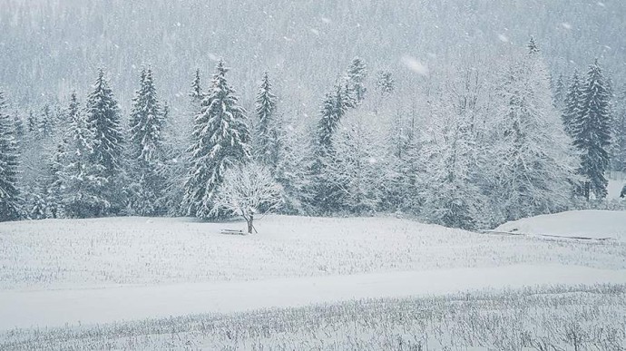 Народные приметы на 17 февраля: что можно и нельзя делать Народные приметы на 17 февраля: что можно и нельзя делать