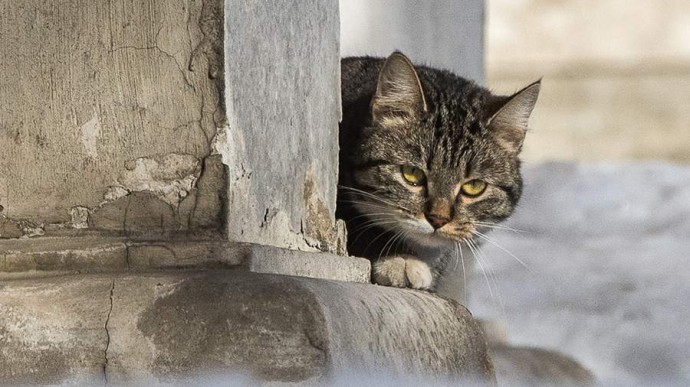 Народные приметы на 2 февраля: что можно и нельзя делать Народные приметы на 2 февраля: что можно и нельзя делать