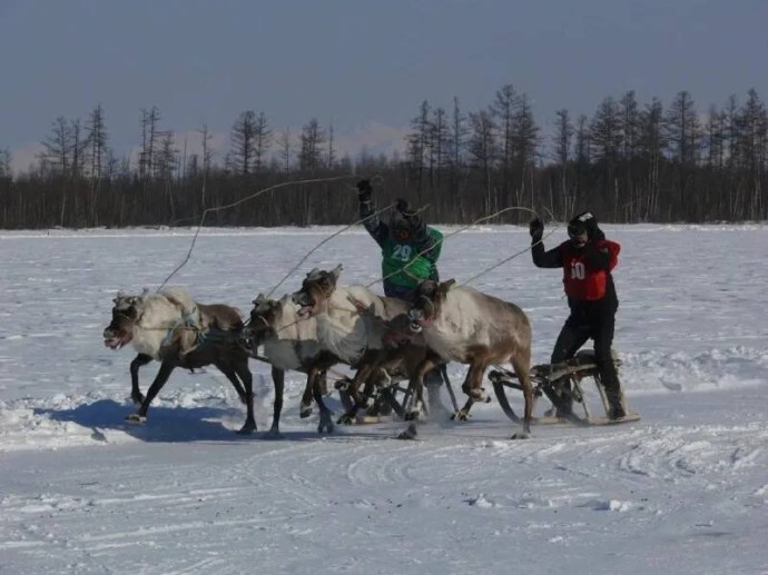 В пяти селах Амурской области отметят День оленевода и охотника В пяти селах Амурской области отметят День оленевода и охотника