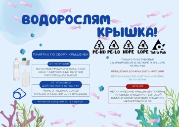 &laquo;Водорослям крышка&raquo;: дети в деле