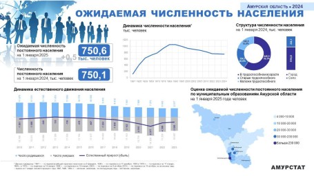 Сколько нас в Амурской области и в Тынде?