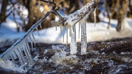 Особый праздник 20 марта &mdash; Павел Капельник: история, традиции, приметы