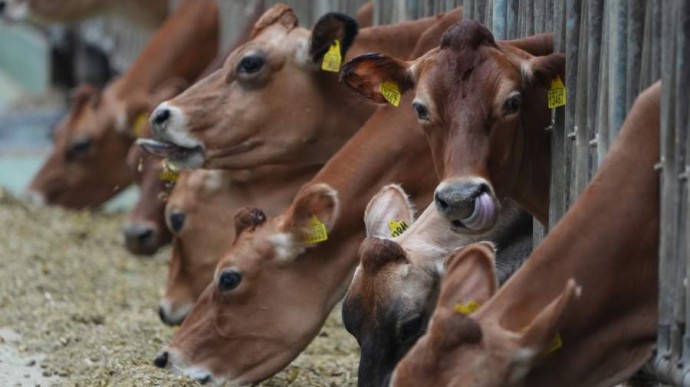 Народные приметы на 24 февраля: что можно и нельзя делать Народные приметы на 24 февраля: что можно и нельзя делать