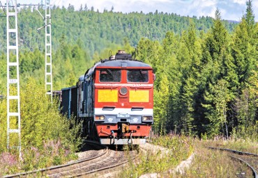 Успеть за бамовское лето