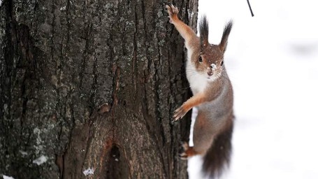 Народные приметы на 5 февраля: что можно и нельзя делать