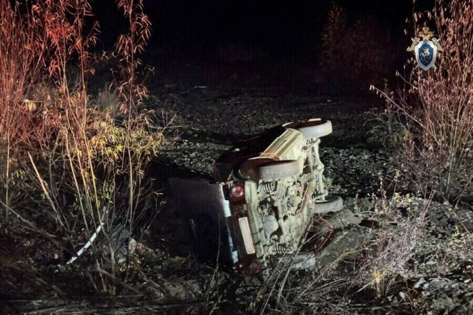 Амурчанин отправится в колонию за гибель сына в пьяном ДТП