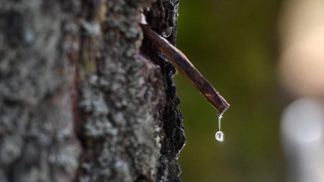 Народные приметы на 11 мая: что можно и нельзя делать