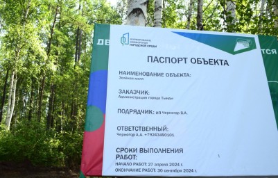 ​В городе благоустроят общественную территорию "Зеленая миля"