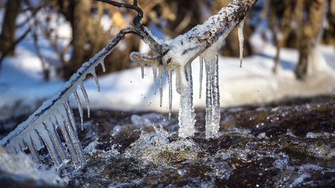 Особый праздник 20 марта &mdash; Павел Капельник: история, традиции, приметы