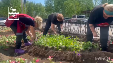 От Снега до Цветов: Весеннее Чудо Тындинского Округа