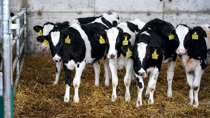 Народные приметы на 18 февраля: что можно и нельзя делать Народные приметы на 18 февраля: что можно и нельзя делать