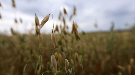 Народные приметы на 31 мая: что можно и нельзя делать