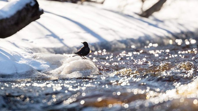 Весеннее равноденствие в 2026 году: приметы и запреты астрономической весны Весеннее равноденствие в 2026 году: приметы и запреты астрономической весны