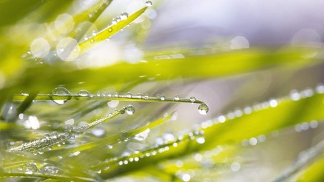 Артемон &mdash; дери полоз: что это за праздник, что можно и нельзя делать 6 апреля