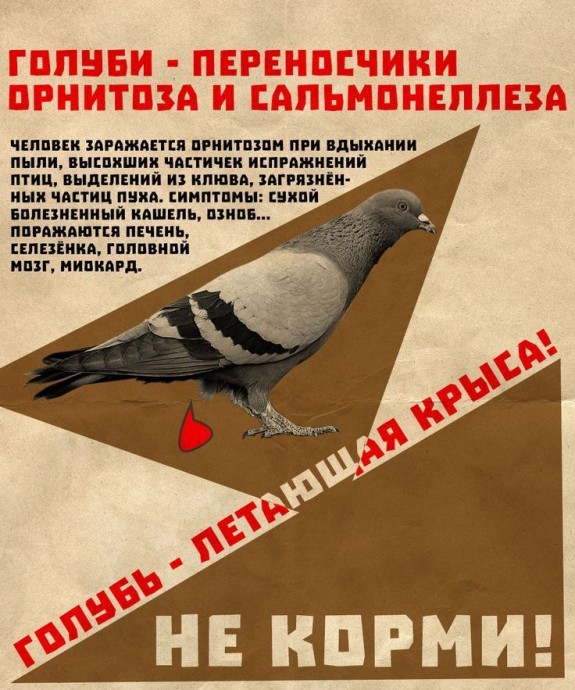 НЕ КОРМИТЕ ГОЛУБЕЙ на придомовых территориях НЕ КОРМИТЕ ГОЛУБЕЙ на придомовых территориях