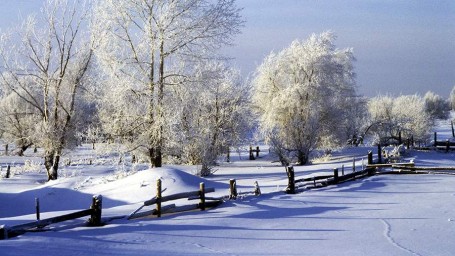 Народные приметы на 29 декабря: что можно и нельзя делать